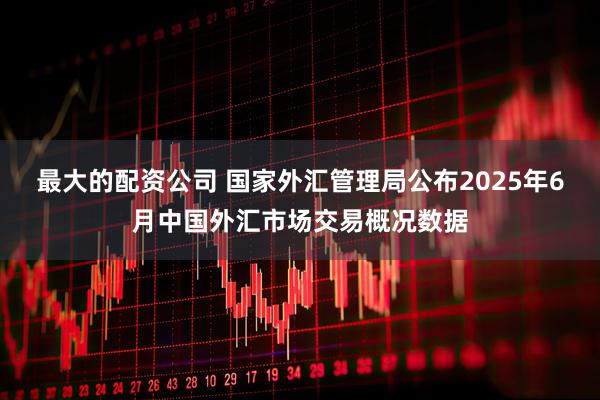最大的配资公司 国家外汇管理局公布2025年6月中国外汇市场交易概况数据